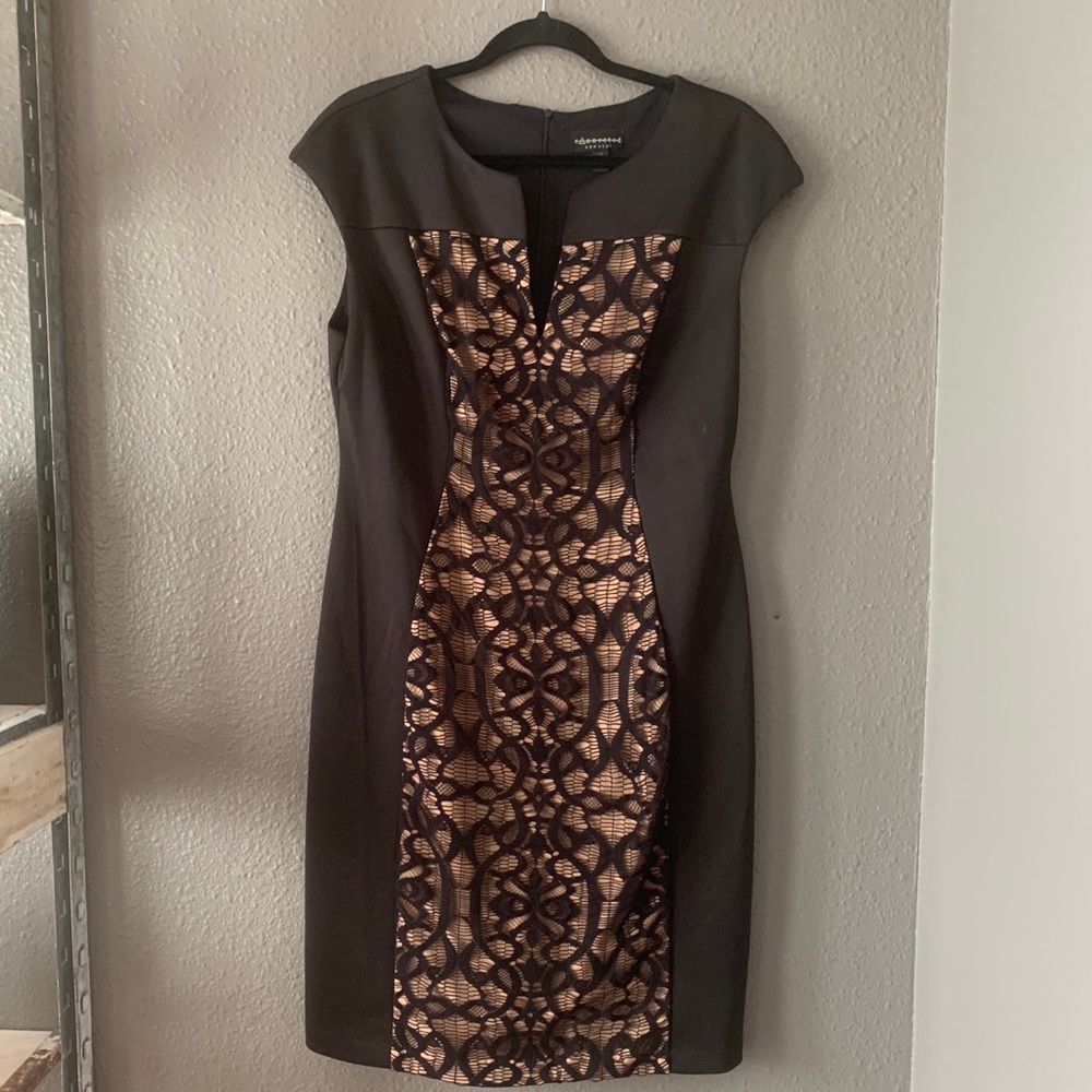 Size 14 Black & Nude Lace Panel Cocktail Dress